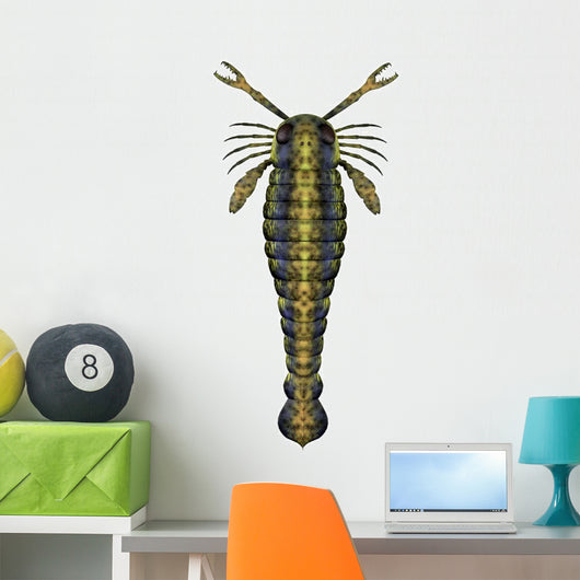 Pterygotus Sea Scorpion from Wall Decal Design 3
