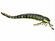 Pterygotus Sea Scorpion from Wall Decal Design 2
