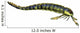 Pterygotus Sea Scorpion from Wall Decal Design 2
