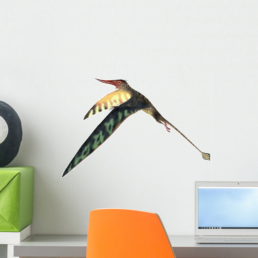 Rhamphorhynchus Pterosaur Wall Decal Design 1