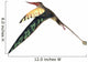 Rhamphorhynchus Pterosaur Wall Decal Design 1