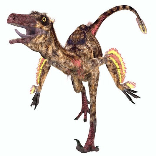 Troodon Bird-like Dinosaur Wall Decal Design 1