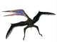 Zhejiangopterus Pterosaur Wall Decal Design 3