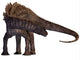Ampelosaurus Dinosaur Wall Decal Design 4