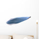 Illustration Pikaia Wall Decal Design 2