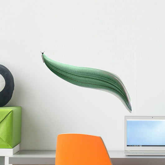 Illustration Pikaia Wall Decal Design 1