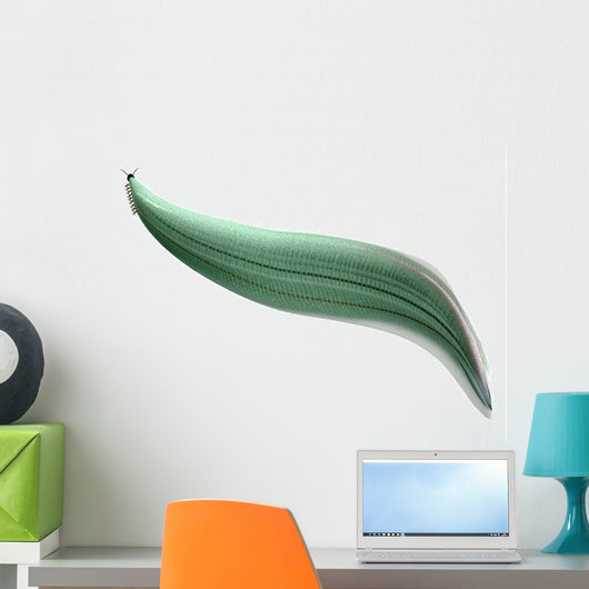 Illustration Pikaia Wall Decal Design 1