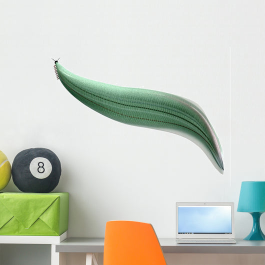 Illustration Pikaia Wall Decal Design 1