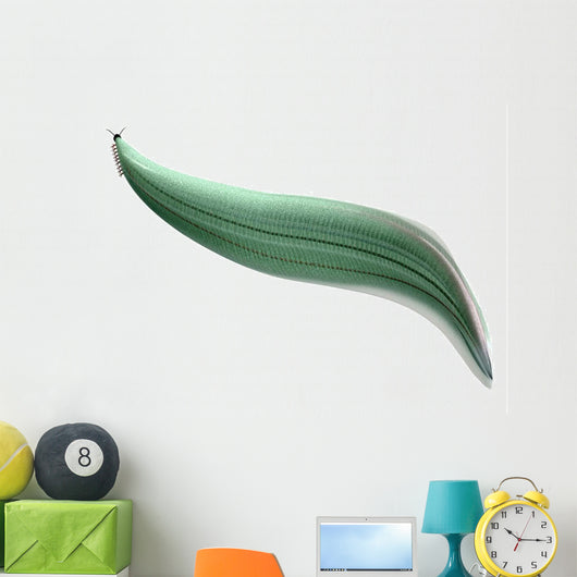 Illustration Pikaia Wall Decal Design 1