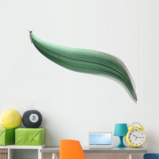 Illustration Pikaia Wall Decal Design 1