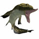 Edestus Shark Carboniferous Period Wall Decal Design 3