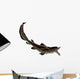 Edestus Shark Carboniferous Period Wall Decal Design 2