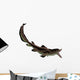 Edestus Shark Carboniferous Period Wall Decal Design 2