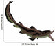 Edestus Shark Carboniferous Period Wall Decal Design 2