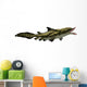 Edestus Shark Carboniferous Period Wall Decal Design 1