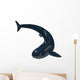 Cladoselache Shark Paleozoic Era Wall Decal