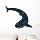 Cladoselache Shark Paleozoic Era Wall Decal