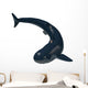 Cladoselache Shark Paleozoic Era Wall Decal