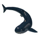 Cladoselache Shark Paleozoic Era Wall Decal