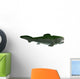 Dunkleosteus Prehistoric Fish from Wall Decal Design 1