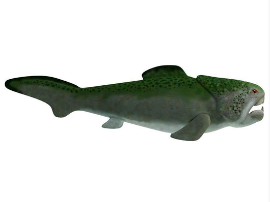 Dunkleosteus Prehistoric Fish from Wall Decal Design 1