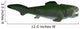 Dunkleosteus Prehistoric Fish from Wall Decal Design 1