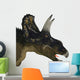 Nedoceratops Portrait Wall Decal