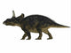 Nedoceratops Dinosaur Side Wall Decal