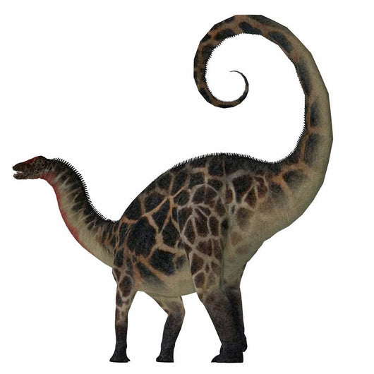 Dicraeosaurus Dinosaur Side Wall Decal Design 2