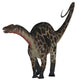 Dicraeosaurus Dinosaur Wall Decal