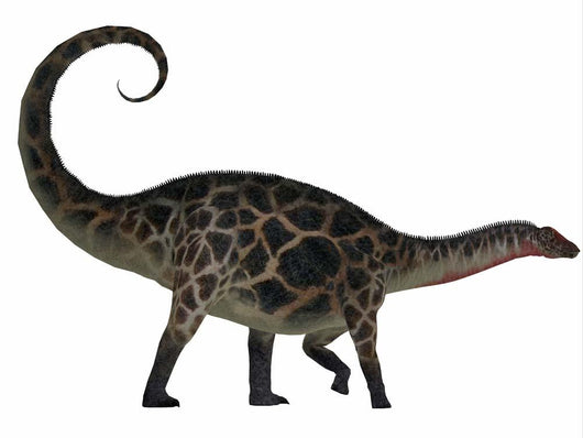 Dicraeosaurus Dinosaur Side Wall Decal Design 1