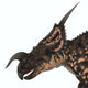 Einiosaurus Portrait Wall Decal