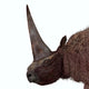 Elasmotherium Portrait Wall Decal