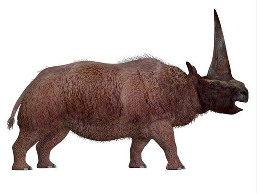 Elasmotherium Profile Wall Decal