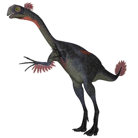 Gigantoraptor Dinosaur White Wall Decal Design 5