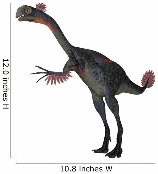 Gigantoraptor Dinosaur White Wall Decal Design 5