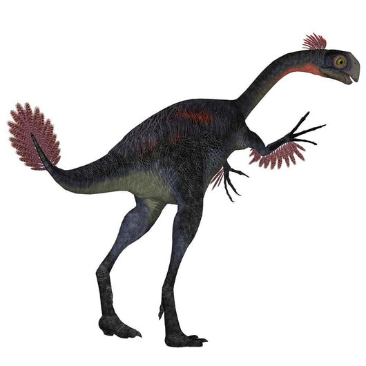 Gigantoraptor Dinosaur White Wall Decal Design 4
