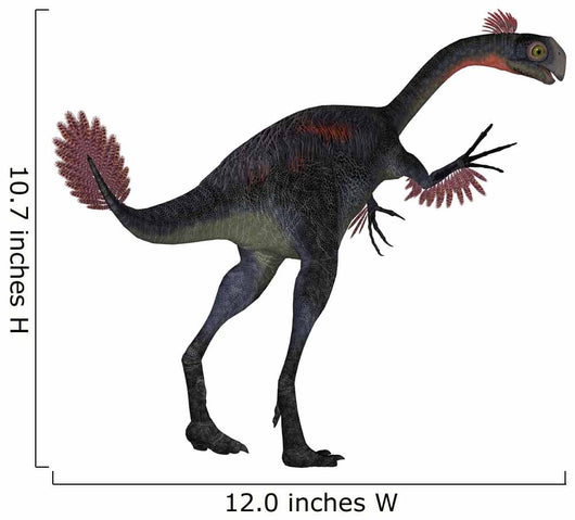 Gigantoraptor Dinosaur White Wall Decal Design 4