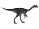 Gigantoraptor Dinosaur White Wall Decal Design 3