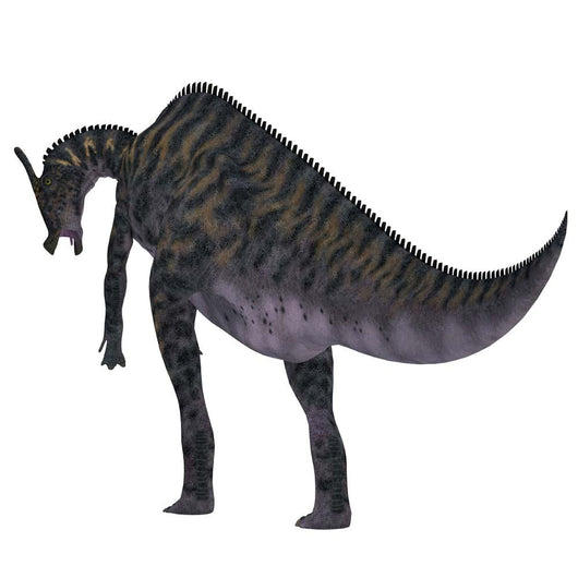 Saurolophus Dinosaur White Wall Decal Design 2
