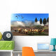 Rhamphorhynchus Birds Fly over Wall Decal