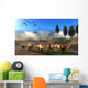 Rhamphorhynchus Birds Fly over Wall Decal