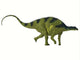 Brachytrachelopan Dinosaur White Wall Decal Design 1
