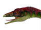 Compsognathus Dinosaur Portrait Wall Decal
