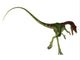 Rear Compsognathus Dinosaur Wall Decal