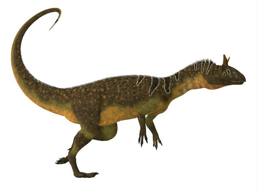 Cryolophosaurus Dinosaur Side Wall Decal Design 2