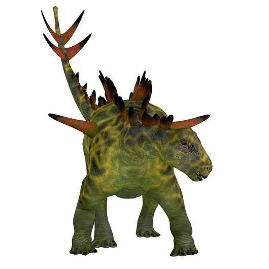 Huayangosaurus Dinosaur Front Wall Decal