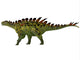 Huayangosaurus Dinosaur Side Wall Decal