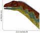 Jobaria Dinosaur Portrait Wall Decal