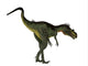 Megalosaurus Dinosaur White Wall Decal